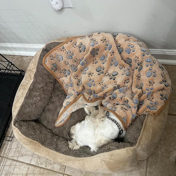 Rectangle Dog Bed for Large Medium Small Dogs Machine